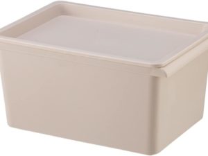 Portable Desktop and Closet Storage Box With Lid