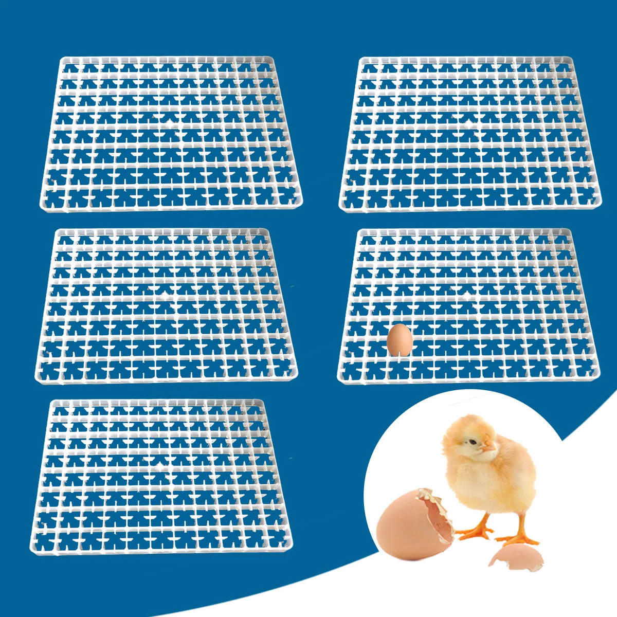 88 chiken eggs Tray COM36 - Image 2