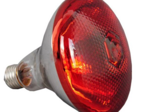 Thickened Heat Lamp 250W, BX14,R31