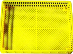 Chicken eggs Hatching Trays